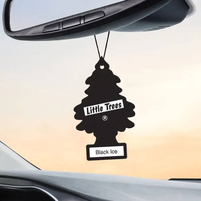LITTLE TREES Car Air Freshener | Hanging Tree Provides Long Lasting Scent for Auto and Home | Black Ice, 24 Air Fresheners - Image 5