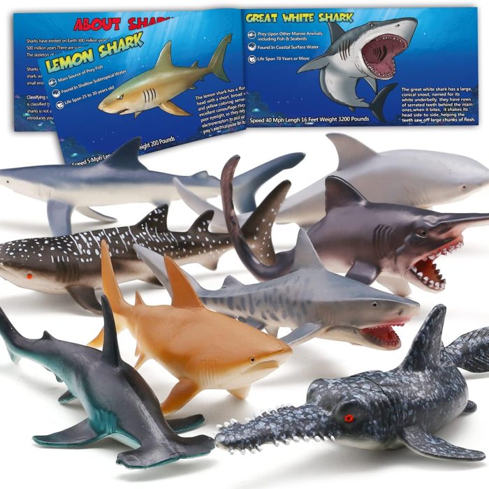 71T5L8pcawL Yeonha Toys 8 Pack Shark Toys with Educational Booklet, Soft Plastic Realistic Shark Figure Set for Kid, Ocean Sea Animal Party Favor, Pool Bath Tub Toy for Toddler Child Boy Girl, Birthday Gift - Image 1