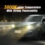 OKOENIEO H11 Headlight Bulbs, 12V 55W, 4000 Lumens, 3800K, Halogen Light Bulbs, No Glare, Headlight Bulbs High and Low Beam, Fog Light Bulb,Head Light Bulb for Car, Pack of 2 - Image 3