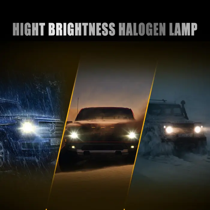 OKOENIEO H11 Headlight Bulbs, 12V 55W, 4000 Lumens, 3800K, Halogen Light Bulbs, No Glare, Headlight Bulbs High and Low Beam, Fog Light Bulb,Head Light Bulb for Car, Pack of 2 - Image 2