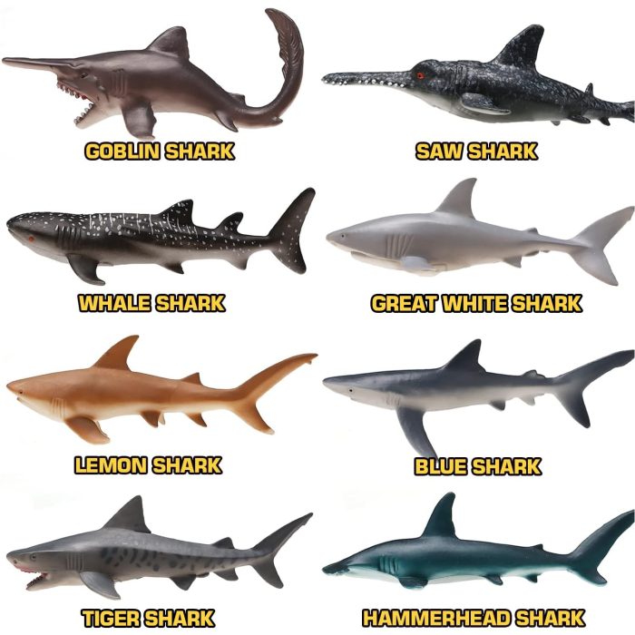 Yeonha Toys 8 Pack Shark Toys with Educational Booklet, Soft Plastic Realistic Shark Figure Set for Kid, Ocean Sea Animal Party Favor, Pool Bath Tub Toy for Toddler Child Boy Girl, Birthday Gift - Image 4
