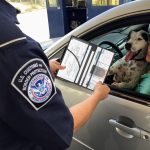 LumiMokki Premium Car Registration & Insurance Card Holder with Magnetic Shut, Vehicle Glove Box Car Organizer - For Documents, Cards, License (Black) - Image 2