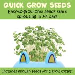 Creativity for Kids Plant-A-Pet: Puppy Toys for Girls - Small Gifts and Stocking Stuffers for Girls, Arts and Crafts for Kids, DIY Activity Set (Ages 6+) - Image 5