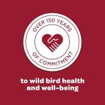 Kaytee All American Wild Bird Food Seed Blend, 5 Pound - Image 3