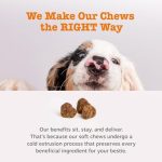 Zesty Paws Probiotics for Dogs - Digestive Enzymes for Gut Flora, Digestive Health, Diarrhea & Bowel Support - Clinically Studied DE111 - Dog Supplement Soft Chew for Pet Immune System - Pumpkin - Image 2