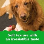 Greenies Pill Pockets for Dogs, Large Size Soft Dog Treats, Peanut Butter Flavor, 15.8 oz. Pouch - Image 2