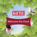 Kaytee All American Wild Bird Food Seed Blend, 5 Pound - Image 2