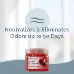 SMELLS BEGONE 12 oz Odor Eliminator Gel - Air Freshener - Absorbs & Eliminates Odor in Bathrooms, Basements, Cars, Boats, RVs & Pet Areas - Made with Essential Oils - Apple Cinnamon - Image 7