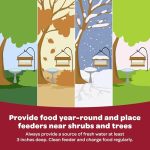 Kaytee All American Wild Bird Food Seed Blend, 5 Pound - Image 6