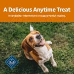 Blue Buffalo Health Bars Crunchy Dog Biscuits, Oven-Baked with Natural Ingredients, Pumpkin & Cinnamon, 16-oz Bag - Image 2