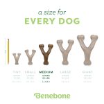 Benebone Wishbone Durable Dog Chew Toy for Aggressive Chewers, Real Bacon, Made in USA, Medium - Image 4