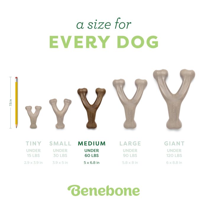 Benebone Wishbone Durable Dog Chew Toy for Aggressive Chewers, Real Bacon, Made in USA, Medium - Image 4