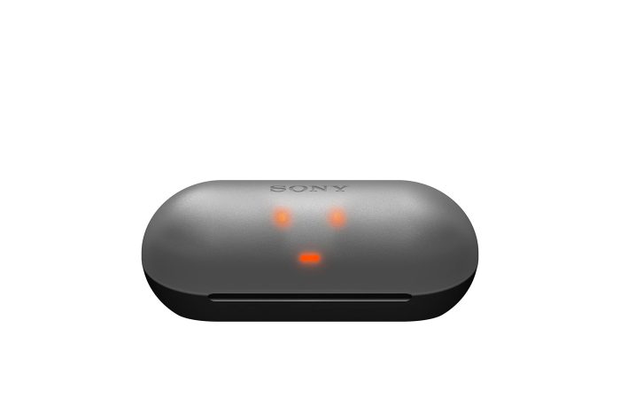 Sony WF-C500 True Wireless Headphones - Up to 20 Hours Battery - Charging case - Voice Assistant Compatible - Built-in mic for Phone Calls - Reliable Bluetooth - Black (Renewed) - Image 7