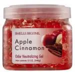 SMELLS BEGONE 12 oz Odor Eliminator Gel - Air Freshener - Absorbs & Eliminates Odor in Bathrooms, Basements, Cars, Boats, RVs & Pet Areas - Made with Essential Oils - Apple Cinnamon