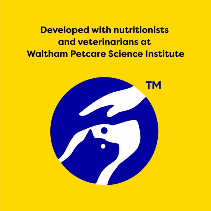 Temptations MixUps Surfer's Delight Flavor Crunchy and Soft Cat Treats, 16 oz. Tub - Image 6