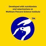 Temptations Classic Crunchy and Soft Cat Treats, Shrimpy Shrimp Flavor, 16 oz. Tub - Image 6