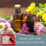 SMELLS BEGONE 12 oz Odor Eliminator Gel - Air Freshener - Absorbs & Eliminates Odor in Bathrooms, Basements, Cars, Boats, RVs & Pet Areas - Made with Essential Oils - Apple Cinnamon - Image 3