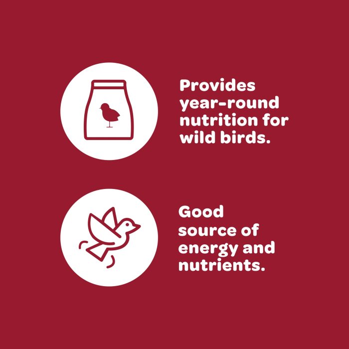 Kaytee All American Wild Bird Food Seed Blend, 5 Pound - Image 12