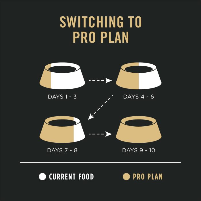 Purina Pro Plan Sensitive Skin and Stomach Dog Food Dry, Adult Salmon & Rice Formula, Digestive Health - 30 lb. Bag - Image 6