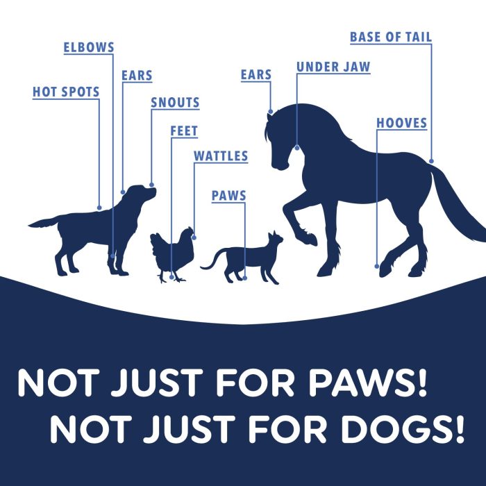 Musher's Secret Dog Paw Wax 60g – Moisturizing Dog Paw Balm – Helps Protect & Heals Cracked Paws – Creates an Invisible Paw Protectors Barrier – All-Natural Nose & Paw Balm with Vitamin E - Image 3