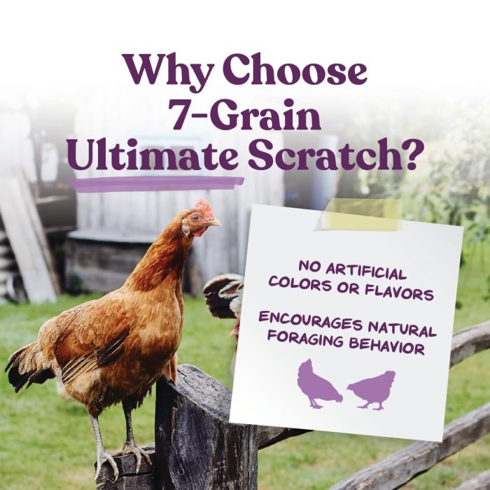 Manna Pro 7-Grain Ultimate Chicken Scratch – Non-GMO Scratch Grain Treat for Chickens, Hens and Other Birds – Natural Multigrain Blend for Poultry and Backyard Flocks – 10 lb Bag - Image 8