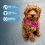 Best Pet Supplies Voyager Step-in Air Harness - All Weather Mesh, Reflective, No Pull Harness for Dogs, Cats - Secure with Hook & Loop Fastener, Buckle, Double D-Rings - Fuchsia, S - Image 8