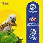 Birds LOVE Millet Tips & Tails for Birds - Parakeets, Cockatiels, Lovebirds, Finches, Budgies, Canaries, Cockatoos - Natural & Healthy Millet for Birds - Parakeet Food & Treats for All Parrots, 1lb - Image 5