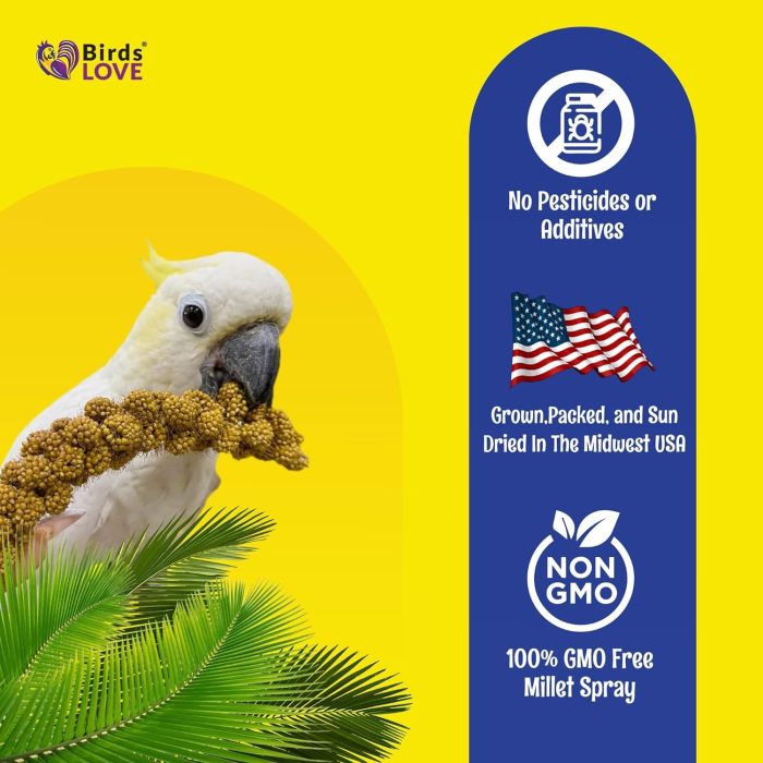 Birds LOVE Millet Tips & Tails for Birds - Parakeets, Cockatiels, Lovebirds, Finches, Budgies, Canaries, Cockatoos - Natural & Healthy Millet for Birds - Parakeet Food & Treats for All Parrots, 1lb - Image 5