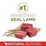 Purina ONE Dry Dog Food Lamb and Rice Formula - 31.1 lb. Bag - Image 12