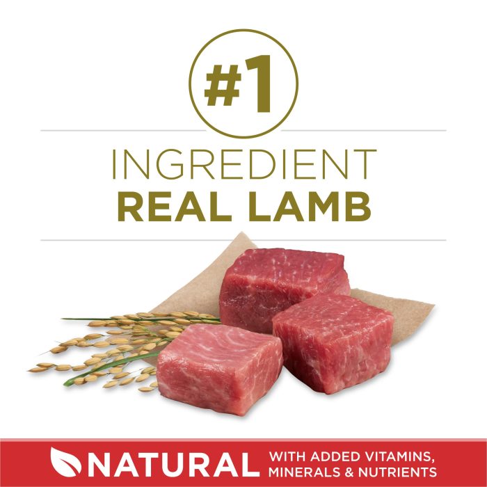 Purina ONE Dry Dog Food Lamb and Rice Formula - 31.1 lb. Bag - Image 12