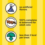 Temptations MixUps Surfer's Delight Flavor Crunchy and Soft Cat Treats, 16 oz. Tub - Image 11