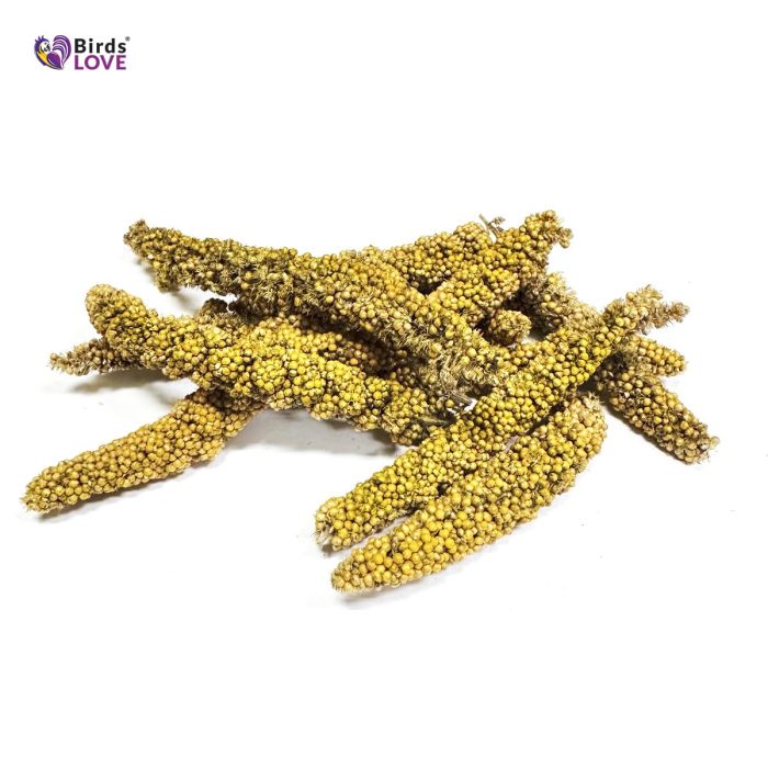 Birds LOVE Millet Tips & Tails for Birds - Parakeets, Cockatiels, Lovebirds, Finches, Budgies, Canaries, Cockatoos - Natural & Healthy Millet for Birds - Parakeet Food & Treats for All Parrots, 1lb - Image 9