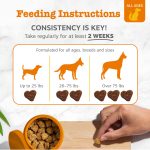 Zesty Paws Probiotics for Dogs - Digestive Enzymes for Gut Flora, Digestive Health, Diarrhea & Bowel Support - Clinically Studied DE111 - Dog Supplement Soft Chew for Pet Immune System - Pumpkin - Image 5