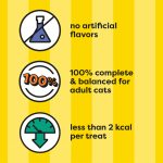 Temptations Classic Crunchy and Soft Cat Treats, Shrimpy Shrimp Flavor, 16 oz. Tub - Image 11