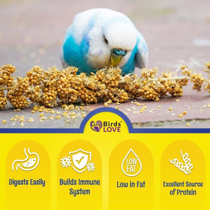 Birds LOVE Millet Tips & Tails for Birds - Parakeets, Cockatiels, Lovebirds, Finches, Budgies, Canaries, Cockatoos - Natural & Healthy Millet for Birds - Parakeet Food & Treats for All Parrots, 1lb - Image 6