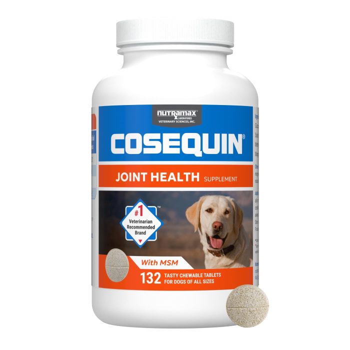 71Ose24LM2L Nutramax Cosequin for Dogs Joint Health Supplement, Contains Glucosamine for Dogs, Plus Chondroitin and MSM, Supports Healthy Joints, For All Breeds and Sizes, Chewable Tablets, 132 Count - Image 1