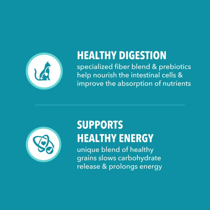 IAMS Proactive Health Indoor Weight Control & Hairball Care Adult Dry Cat Food, Chicken & Turkey Recipe, 7 lb. Bag - Image 6