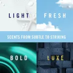 Febreze Car Vent Clip, Downy Calm Scent, 2 Count, 0.13 oz Total - Image 3