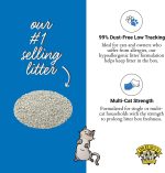 Dr. Elsey's Ultra UnScented Clumping Clay Cat Litter 40 lb. Bag - Image 4