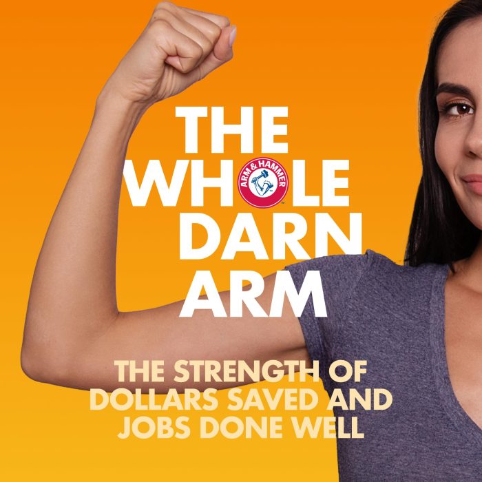 ARM & HAMMER Clump & Seal SLIDE Platinum Multi-Cat Clumping Cat Litter, 14-Day Odor Control, EZ Clean Technology, 18 lbs – No Scrubbing, Powerful Odor Eliminator - Image 4