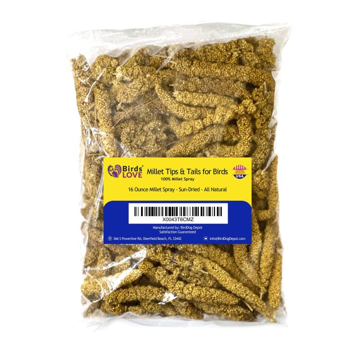 Birds LOVE Millet Tips & Tails for Birds - Parakeets, Cockatiels, Lovebirds, Finches, Budgies, Canaries, Cockatoos - Natural & Healthy Millet for Birds - Parakeet Food & Treats for All Parrots, 1lb - Image 1
