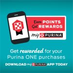 Purina ONE Natural, Low Fat, Weight Control, Indoor Dry Cat Food, +Plus Indoor Advantage - 16 lb. Bag - Image 4