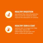 IAMS Proactive Health Adult Healthy Dry Cat Food with Chicken, 22 lb. Bag - Image 6