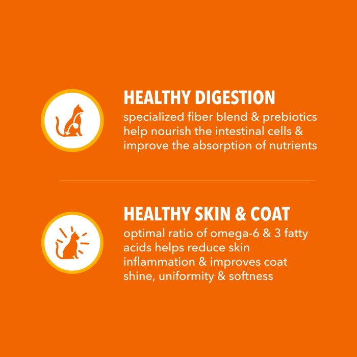 IAMS Proactive Health Adult Healthy Dry Cat Food with Chicken, 22 lb. Bag - Image 6