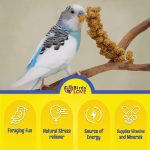 Birds LOVE Millet Tips & Tails for Birds - Parakeets, Cockatiels, Lovebirds, Finches, Budgies, Canaries, Cockatoos - Natural & Healthy Millet for Birds - Parakeet Food & Treats for All Parrots, 1lb - Image 7