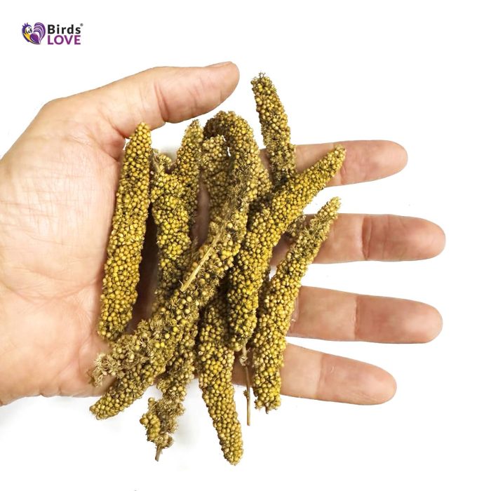 Birds LOVE Millet Tips & Tails for Birds - Parakeets, Cockatiels, Lovebirds, Finches, Budgies, Canaries, Cockatoos - Natural & Healthy Millet for Birds - Parakeet Food & Treats for All Parrots, 1lb - Image 8