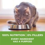 Purina ONE Natural, Low Fat, Weight Control, Indoor Dry Cat Food, +Plus Indoor Advantage - 16 lb. Bag - Image 6