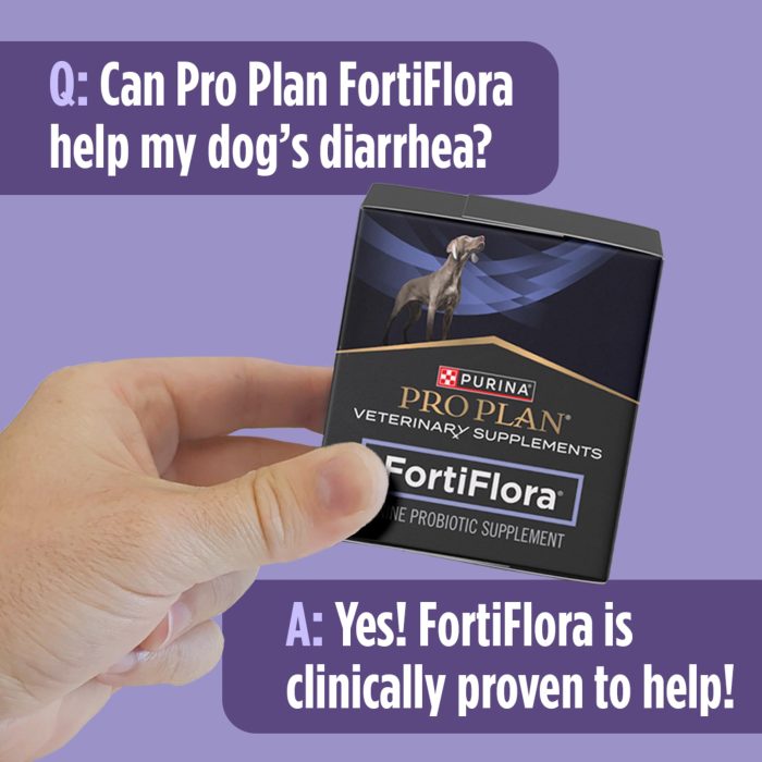 Purina Pro Plan Veterinary Supplements FortiFlora Canine Probiotics for Dogs, Helps Digestive Gut Health and Diarrhea - 30 ct. Box - Image 4
