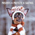 Musher's Secret Dog Paw Wax 60g – Moisturizing Dog Paw Balm – Helps Protect & Heals Cracked Paws – Creates an Invisible Paw Protectors Barrier – All-Natural Nose & Paw Balm with Vitamin E - Image 6