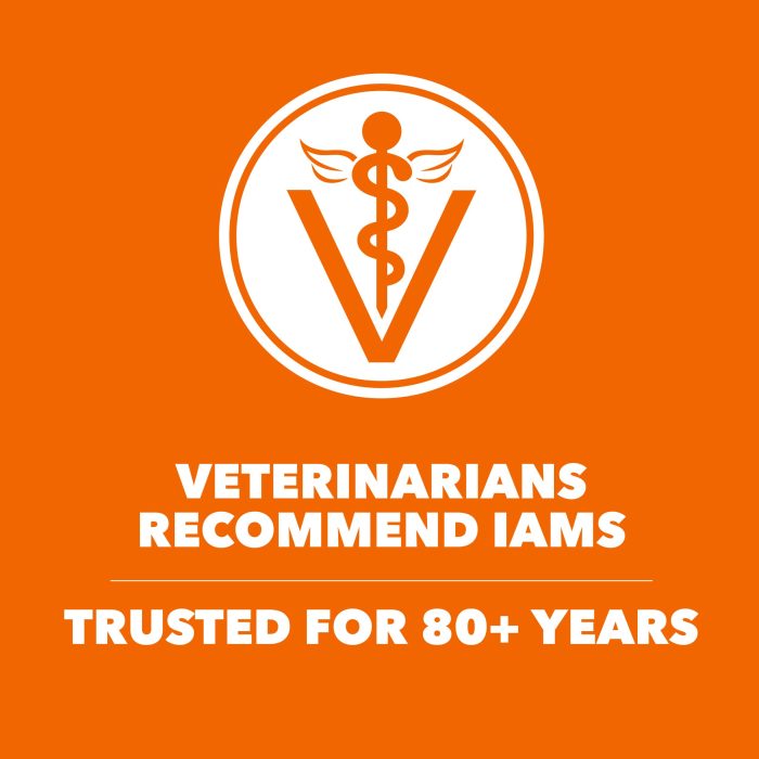 IAMS Proactive Health Adult Healthy Dry Cat Food with Chicken, 22 lb. Bag - Image 5